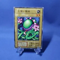 遊戯王　ヤシの木　初期　ブースター3 PSA10 遊戯王 ヤシの木 c10 - メルカリ