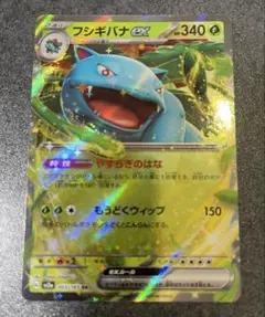 2026年最新】フシギバナ003の人気アイテム - メルカリ