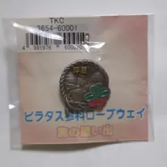 ピラタス蓼科ロープウェイ（北八ヶ岳・坪庭）の「旅の思い出」記念ピンバッジ