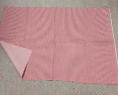 赤と白のストライプ布地 はぎれ