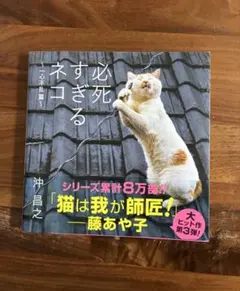 【美品】必死すぎるネコ 一心不乱篇　沖 昌之
