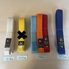 Item thumbnail for item 061bf3c8-7d86-4cb1-80c3-1c4d44a97efd