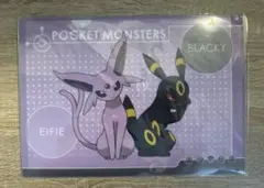 エーフィ ブラッキー バインダー ファイル 海外ポケモンセンター