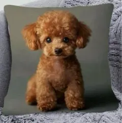 メック様 リクエスト 3点 まとめ商品