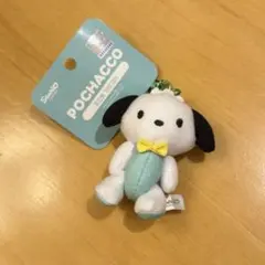 韓国クレーンゲーム限定 산리오 ポチャッコ ぬいぐるみキーホルダー