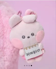 BT21 minini ぬいぐるみキーリング Cooky②