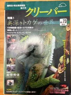 2026年最新】爬虫類両生類雑誌の人気アイテム - メルカリ