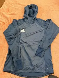 Item thumbnail for item b19ab088-b5f1-486c-9d74-937687491c3d