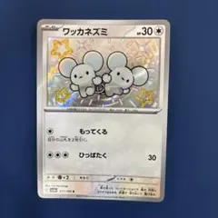 ワッカネズミ S 317/190 イッカネズミ S 318/190S - メルカリ