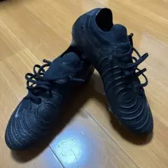 ファントム GX 2 エリート AG-PRO