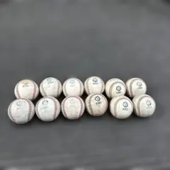 Item thumbnail for item 2ff01c63-62e1-4969-9325-01031458c11e