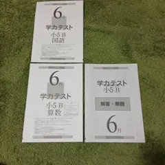 2026年最新】小学5年生算数テストの人気アイテム - メルカリ