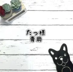 ■たっ様 専用ページ■