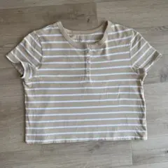 GAP M ストライプ クロップドTシャツ