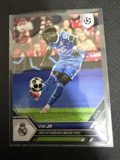 Item thumbnail for item 2b03d979-ccd7-47ea-b597-6934737d72fb