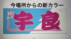 大相撲　のぼり風力士タオル　宇良のサムネイル