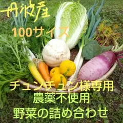 丹波産　農薬不使用　野菜の詰め合わせ　チュンチュン様専用