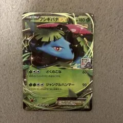フシギバナEX PROMO XYシリーズプロモーションカード PROMO 23…のサムネイル