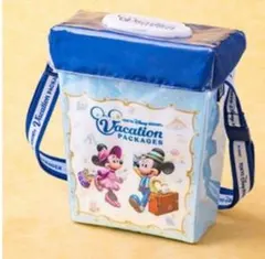 ディズニーリゾート　ポップコーンバスケット　バケーションパッケージ　ポップコーン