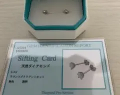 Item thumbnail for item 54a77a1e-f830-44ed-8730-de8ff771e618