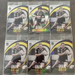 ラグビー トレーディングカード 6枚セット