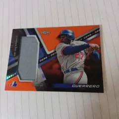 topps mlb 2019 vladimir guerrero sr. /25