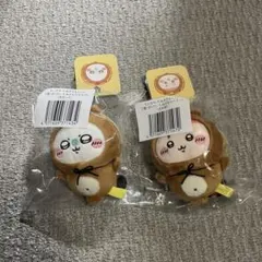 ちいかわ　たぬきだもんくじ　モモンガ　カニちゃん　古本屋　セット　C賞