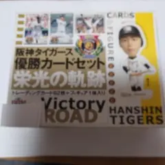 Item thumbnail for item 18ac38c5-f956-4e50-869b-0c7ed7510b0d