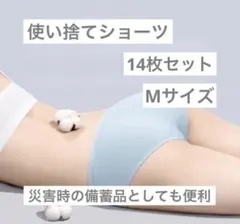 Item thumbnail for item 5c1bf275-1eae-419e-a60e-2609b6b132ec