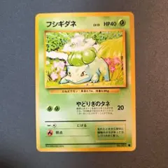 旧裏　フシギダネ　①