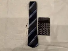 Item thumbnail for item 70ac7450-9ae4-48b9-a1c0-744e97e47436