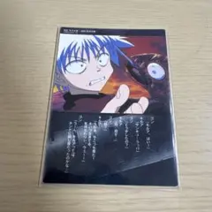 2026年最新】ハンターハンター カードダスマスターズ キルアの人気