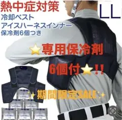大特価 冷却ベスト 分解洗濯可能 PCM28℃自然凍結 クールグッズ フリー