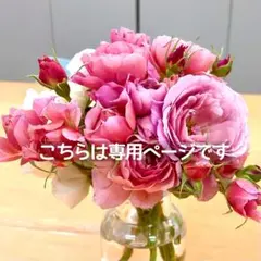 kazuさま専用＊ニュアンスカラーの和ばら