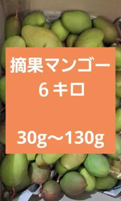 摘果マンゴー 5kg - メルカリ
