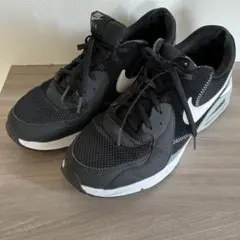 Nike Air Max スニーカー ブラック/ホワイト
