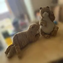 希少‼️ Steiff お眠りウサギ 2点 まとめ売り - メルカリ