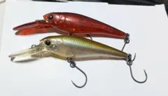 エリアミノーイング ハンクルシャッド エリアミノーイング ハンクルシャッド ハンクルシャッド エリアミノー