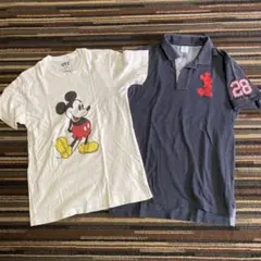 Item thumbnail for item 07ae510c-3210-4e74-90ef-1b0b6fb44734