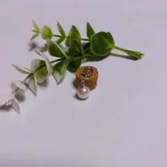 チャーム  (同封割あり)