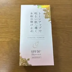 Item thumbnail for item 99bb46f0-a711-4279-829b-ecbec1c7ee69