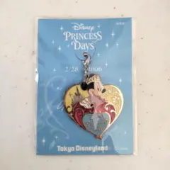 2025年最新】プリンセスデイズの人気アイテム - メルカリ