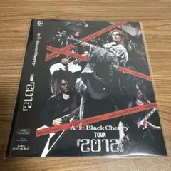 【特典スリーブ】acid black cherry『2012』Blu-ray