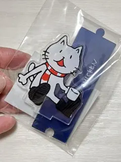 2026年最新】bump ニコル of chickenの人気アイテム - メルカリ