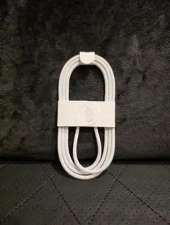 Apple 60W USB-C充電ケーブル （1m）