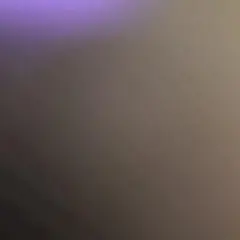 ちょん様　専用