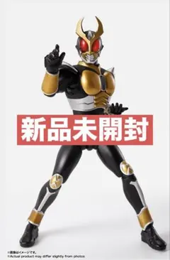 【新品未開封】真骨彫 仮面ライダーアギト 25th Anniversaryのサムネイル