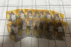 なお様専用ページ