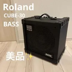 TTOさま専用❣️Roland CUBE-100 BASS ベースアンプ 100w - メルカリ