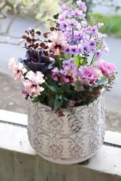 2026年最新】フェデネージュの人気アイテム - メルカリ